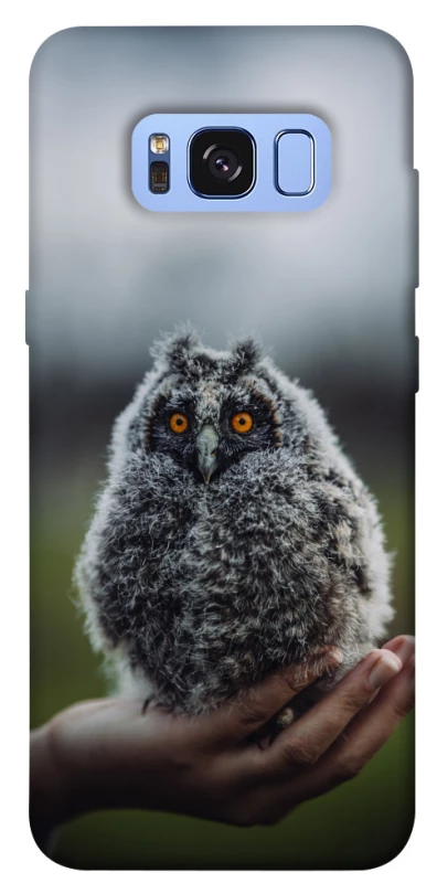 Чохол на Samsung G950 Galaxy S8 Совеня фото 1 з 1