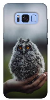 Чохол на Samsung G950 Galaxy S8 Совеня фото 1 з 1