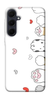 Чехол на Samsung Galaxy A55 Paws фото 1 из 1
