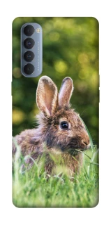 Чохол на Oppo Reno 4 Pro Кролики фото 1 з 1