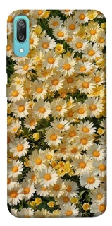 Чехол на Huawei Y6 Pro (2019) Camomile фото 1 из 1