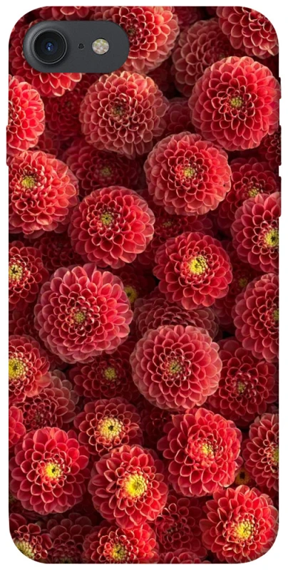 Чохол на Apple iPhone 7 / 8 (4.7") Midnight1 фото 1 з 1