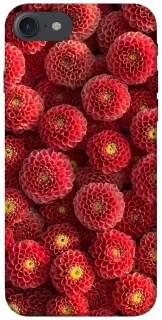 Чехол на Apple iPhone 7 / 8 (4.7") Midnight1 фото 1 из 1