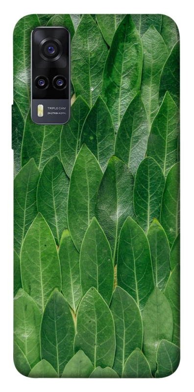 Чохол на Vivo Y31 Листя фото 1 з 1