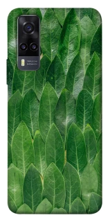 Чехол на Vivo Y31 Листья фото 1 из 1