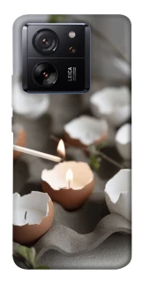 Чехол на Xiaomi 13T Eggcellent фото 1 из 1