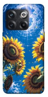 Чохол на OnePlus 10T Sunflowers фото 1 з 1