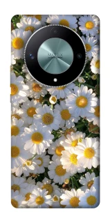 Чехол на Huawei Magic6 Lite Поле ромашек фото 1 из 1