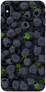 Чохол на Apple iPhone X (5.8") Fresh фото 1 з 1