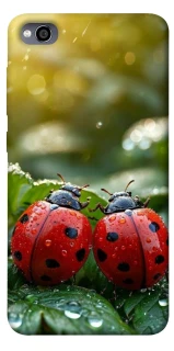 Чохол на Xiaomi Redmi 4a Flowers v23 фото 1 з 1