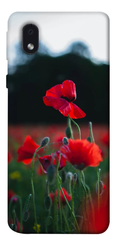 Чехол на Samsung Galaxy M01 Core / A01 Core Мак фото 1 из 1