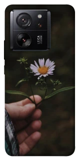 Чохол на Xiaomi 13T Pro Ромашка v4 фото 1 з 1