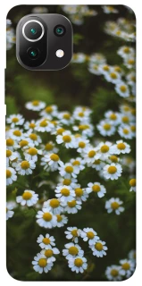 Чехол на Xiaomi Mi 11 Lite Ромашки v13 фото 1 из 1