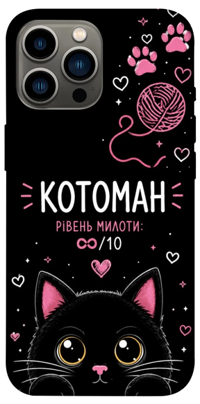 Чохол на Apple iPhone 13 Pro Max (6.7") Котоман фото 1 з 1