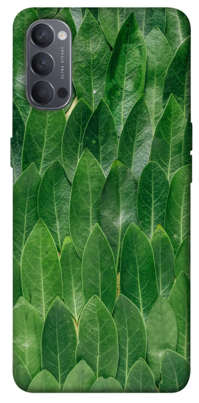 Чехол на Oppo Reno 4 Листья фото 1 из 1