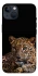 Чохол на Apple iPhone 13 (6.1") Leopard v4 фото 1 з 1