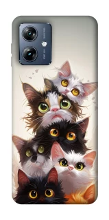 Чохол на Motorola Moto G54 Power Сat eyes фото 1 з 1