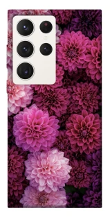 Чехол на Samsung Galaxy S23 Ultra Garden1 фото 1 из 1