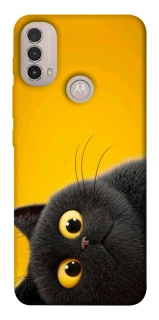 Чохол на Motorola Moto E40 This is Cat фото 1 з 1