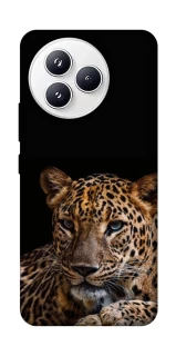 Чехол на Xiaomi Civi 5 Pro Leopard v4 фото 1 из 1