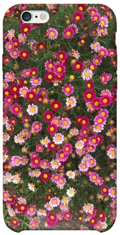 Чохол на Apple iPhone 6/6s (4.7") Flowers v8 фото 1 з 1