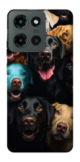 Чехол на Motorola Moto G Power (2025) Собаки фото 1 из 1