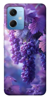 Чехол на Xiaomi Poco X5 5G Bunch of grapes фото 1 из 1