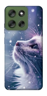 Чохол на Motorola Moto G56 5G Snow cat фото 1 з 1