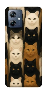 Чехол на Motorola Moto G54 Power Colorful Cat Collage фото 1 Чехол на Motorola Moto G54 Power Colorful Cat Collage фото 1 из 1