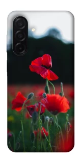 Чехол на Samsung Galaxy A26 5G Мак фото 1 из 1