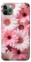 Чехол на Apple iPhone 11 Pro Max (6.5") Розовые цветы v2 фото 1 из 1