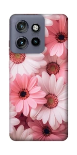 Чехол на Motorola Edge 50 Neo Розовые цветы v2 фото 1 из 1