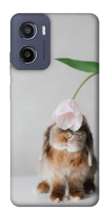 Чохол на Motorola Moto G05 Bunny фото 1 з 1