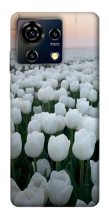 Чехол на ZTE Blade V50 Vita Flowers v1 фото 1 Чехол на ZTE Blade V50 Vita Flowers v1 фото 1 из 1