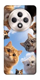 Чехол на Oppo Reno 12 F 4G/5G Cats фото 1 из 1