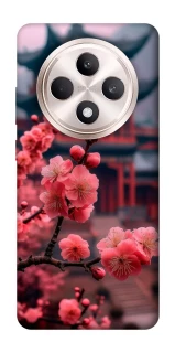 Чехол на Oppo Reno 12 F 4G/5G Flowers v29 фото 1 из 1