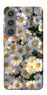 Чохол на Samsung Galaxy S24+ Поле ромашок фото 1 з 1