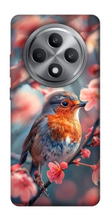 Чехол на Oppo Reno 12 F 4G Birdie фото 1 из 1