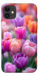 Чохол на Apple iPhone 11 (6.1") Тюльпанове поле фото 1 з 1
