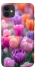 Чохол на Apple iPhone 11 (6.1") Тюльпанове поле фото 1 з 1