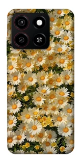 Чохол на ZTE Blade A35 4G Camomile фото 1 з 1