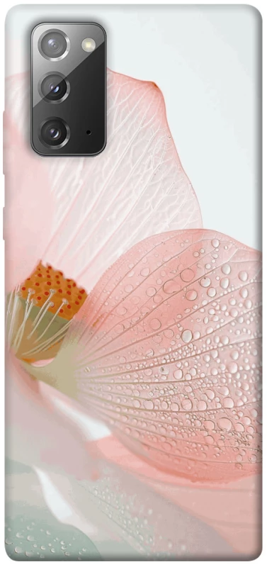 Чохол на Samsung Galaxy Note 20 Flowers zon фото 1 Чохол на Samsung Galaxy Note 20 Flowers zon фото 1 з 1