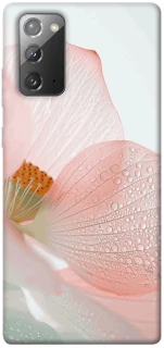 Чохол на Samsung Galaxy Note 20 Flowers zon фото 1 Чохол на Samsung Galaxy Note 20 Flowers zon фото 1 з 1