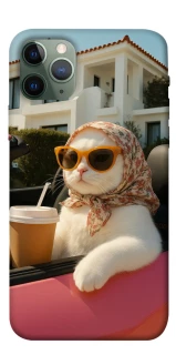 Чохол на Apple iPhone 11 Pro (5.8") Stylish Cat Cruise фото 1 з 1