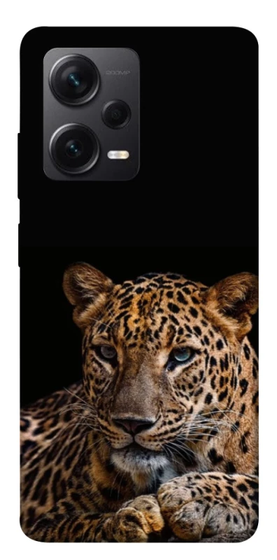 Чохол на Xiaomi Redmi Note 12 Pro 5G Leopard v4 фото 1 з 1