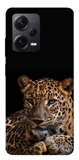 Чохол на Xiaomi Redmi Note 12 Pro 5G Leopard v4 фото 1 з 1