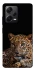 Чохол на Xiaomi Redmi Note 12 Pro 5G Leopard v4 фото 1 з 1