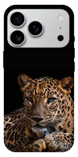 Чехол на Apple iPhone 18 Pro Max Leopard v4 фото 1 из 1