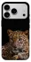 Чехол на Apple iPhone 18 Pro Max Leopard v4 фото 1 из 1