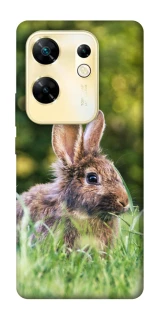 Чохол на Infinix Zero 30 4G Кролики фото 1 з 1